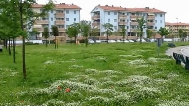 L'interminato Parco del Giglio смотреть онлайн
