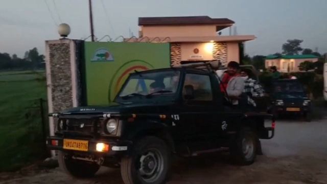 Happy Foggy Winter Safari || Jungle Safari #viral #corbettcorps #junglesafari смотреть онлайн