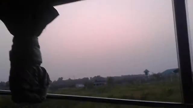 Core Safari- Bongobondhu Safari Park, Gazipur смотреть онлайн