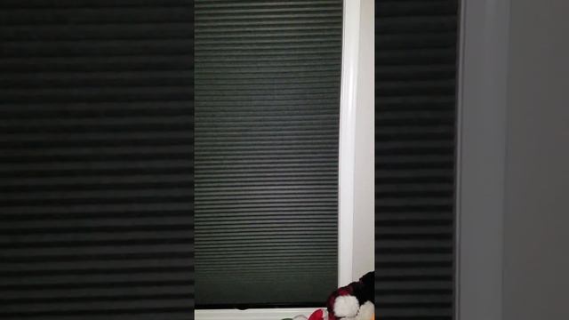 Pella windows - kams room смотреть онлайн