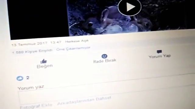 Video İndirme Programı Download