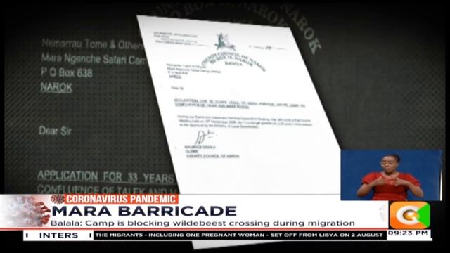 Mara Barricade | Mara Ngenche Camp risks demolition over wildebeest migration смотреть онлайн