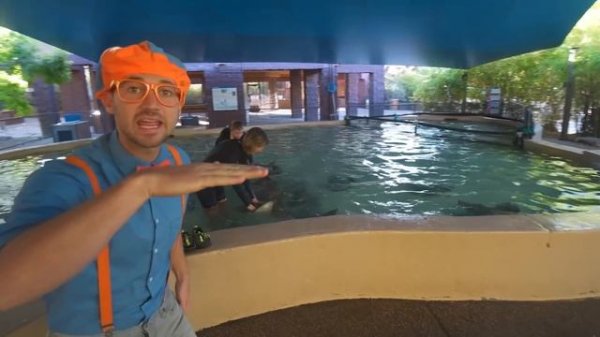 Blippi Explores Jungle Animals!! | Animals for Kids | Educational Videos For Kids