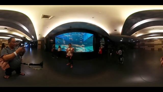 MellowGold V360 - Manila Ocean Park смотреть онлайн