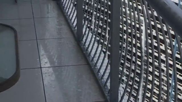 This Unit owner washing his dog waste at the Opera tower in Miami смотреть онлайн