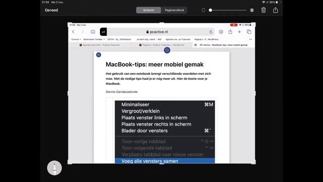 IPad-Safari naar PDF смотреть онлайн