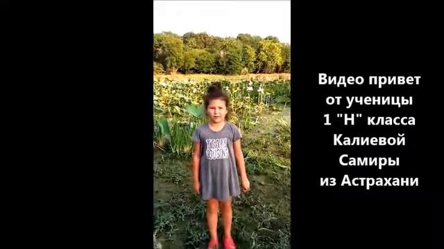 Видео привет для марафона "Путешествуем вместе" с Гимназия 1538 из Астрахани смотреть онлайн