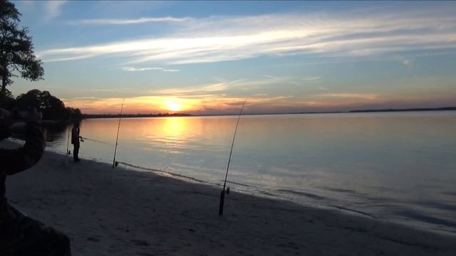 Panacea Florida | Photo Safari | Fishing | First long RV Trip смотреть онлайн