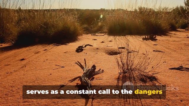 Most Dangerous Places on Earth #MostDangerousPlacesb #DangerousPlaces смотреть онлайн