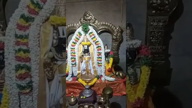 வைகுண்ட ஏகாதசி # சொர்கவாசல் திறப்பு смотреть онлайн