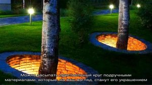 Самые яркие примеры, как оформить приствольный круг