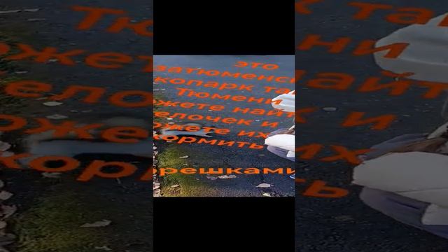 это Экопарк смотреть онлайн