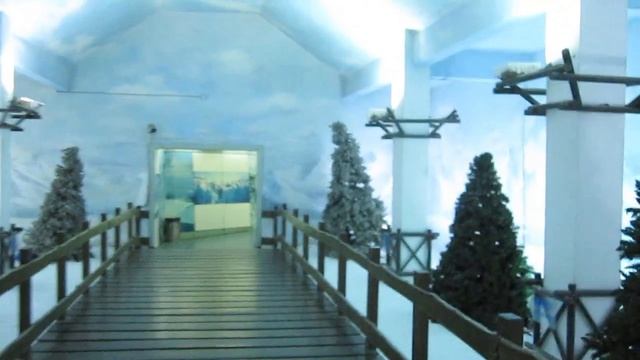 Shenzhen Window Of The World