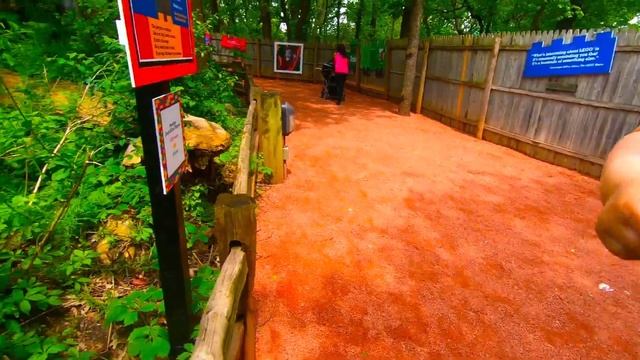 Brick Safari at Brookfield Zoo | Lifesize LEGO Animal Sculptures! смотреть онлайн