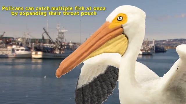 Safari Ltd® Wings of the World Pelican смотреть онлайн