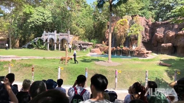 BALI SAFARI AND MARINE PARK :A fantastic TRIP in Bali 🤩 смотреть онлайн