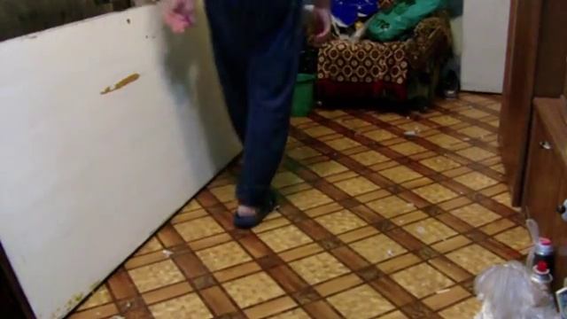 2016 12 16 дверь смотреть онлайн
