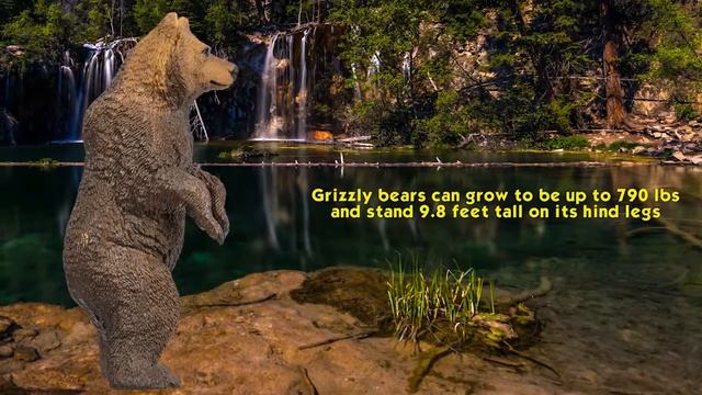 Safari LTD North American Wildlife Grizzly Bear смотреть онлайн