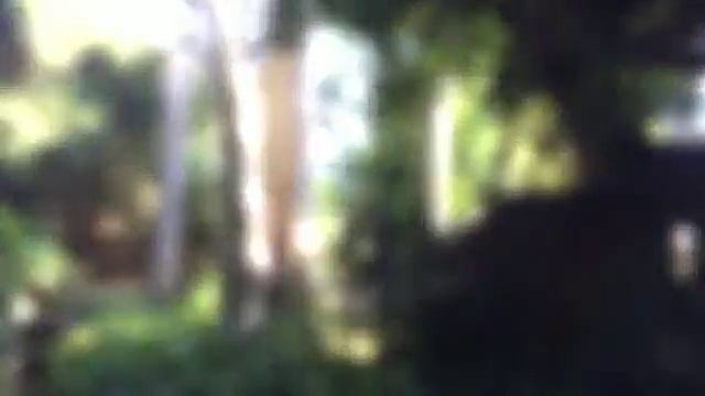 Bali Safari Marine & Park смотреть онлайн