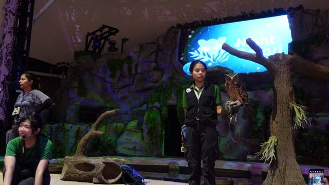 Singapore Zoo, Night Safari with Great Grandparents! смотреть онлайн