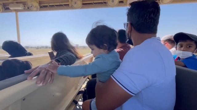 Sharjah Safari Park.. things you should know before entering.. all details смотреть онлайн