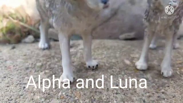 intro from Skye and Storm (a schiech wolf story) смотреть онлайн