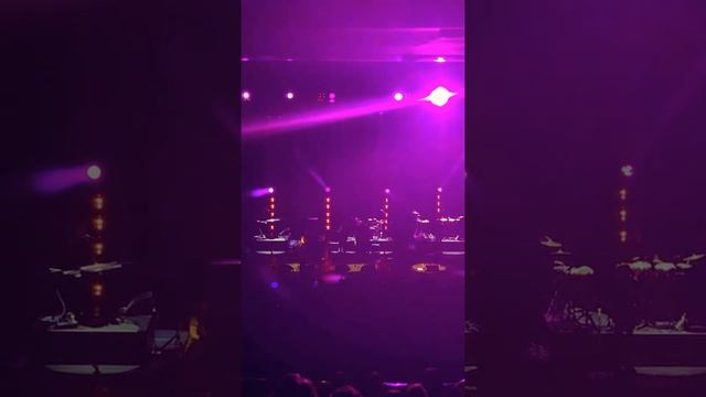 Bamboleo / Band Intro - Gipsy Kings, Live @ Dubai Opera смотреть онлайн