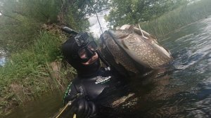 Подводная охота на слиянии сплавом Отличный улов Трудовая охота