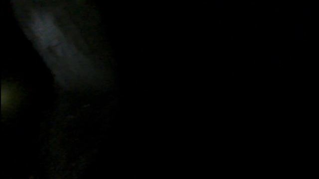 КАК ЛОВИТЬ РАКОВ НОЧЬЮ/РАКОЛОВКИ И ФОНАРИК смотреть онлайн