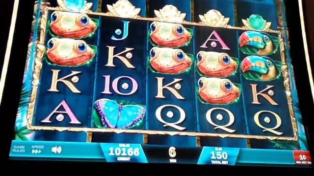 Nice Win on Golden Gecko Slot Machine By IGT - Safari Slots смотреть онлайн