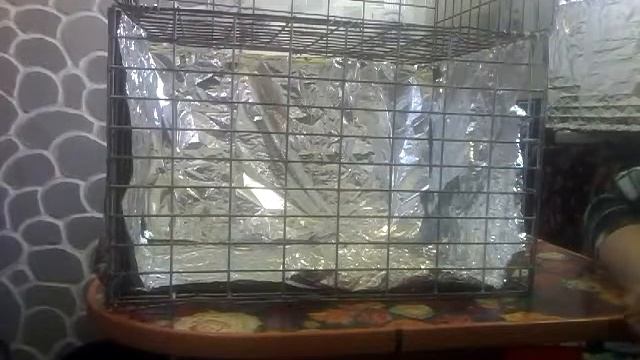 Бесплатная подсветка и полочка  для моих цветов,