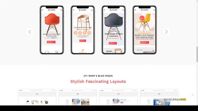 Reira - Creative WooCommerce Theme responsive theme svg background смотреть онлайн