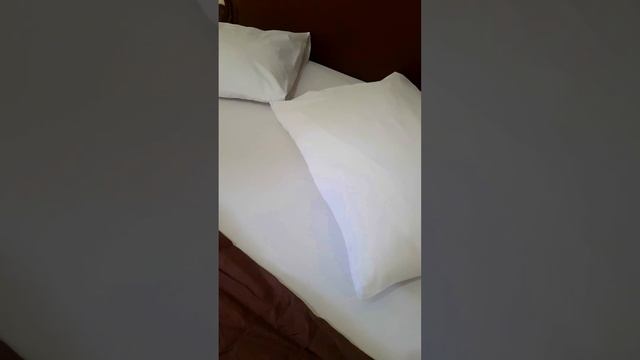 Hotel Safari, Hotel Murah Di Magelang | Hotel Di Pusat Kota Magelang | Jelajah Story смотреть онлайн