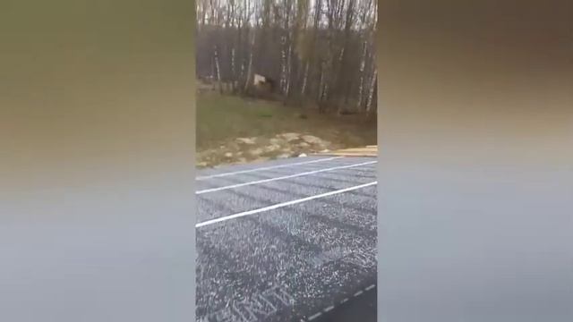 каркасный дом с нуля до криша поставыте лай и подписать на канал👍👍👍🔨🔨🔨🏠 смотреть онлайн