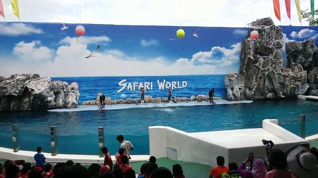 SAFARI WORLD BANGKOK // MUST VISIT IN BANGKOK ONLY 1200 BHAT /ADULT. смотреть онлайн