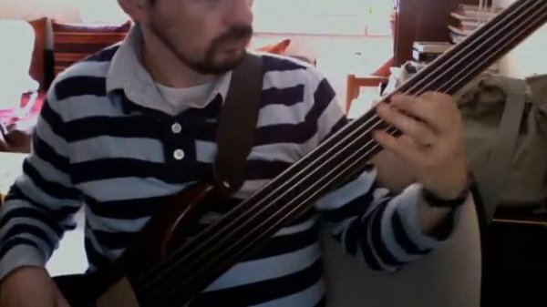 Palmer fretless FB-05 bass