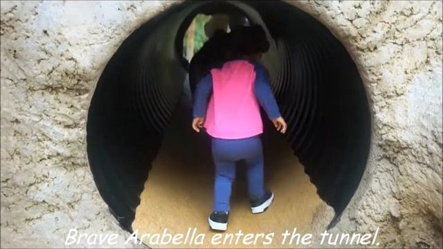 Arabella's Safari Park Zoo adventure Nursery Rhymes Lions Giraffe Gorilla Animals San Diego Family смотреть онлайн