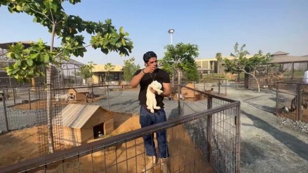 The Zoo Wild Life Park in umm al quwain/zoo inUAE/Umm Dubai #thezoowildlifepark #mrarbazpatel #duba