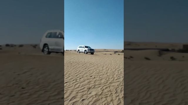 desert safari Dubai #youtubefeed #shortfeed #trending #viral #dubai #desertsafaridubai смотреть онлайн
