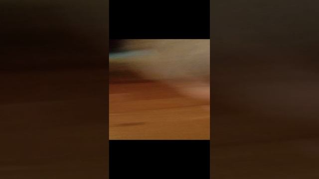 кошка #shorts (20 часть)