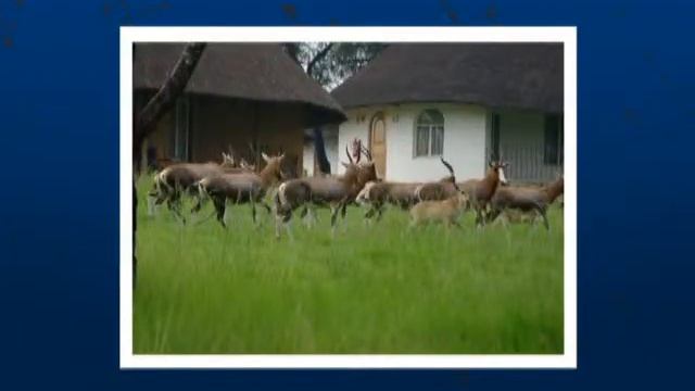Heia Safari Ranch Conference Venue in Muldersdrift, Gauteng West Rand смотреть онлайн