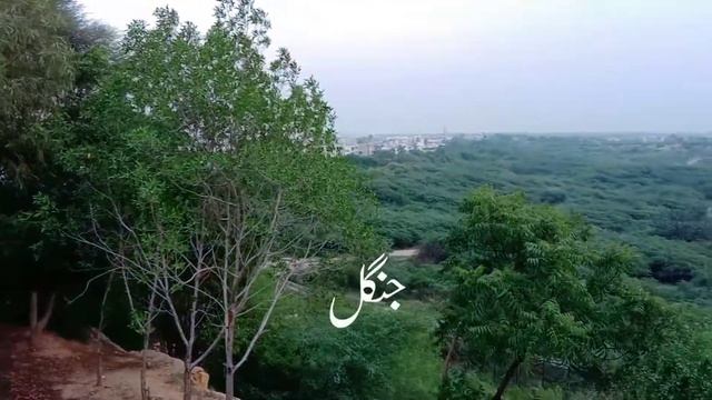 safari park/zoo Karachi سفاری پارک کراچی travel lovers смотреть онлайн
