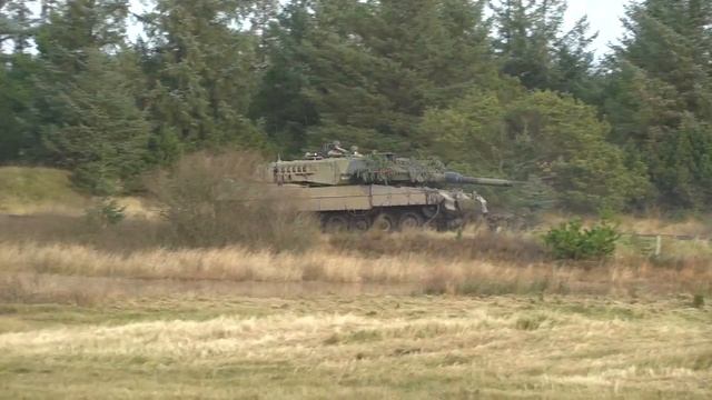 Brave Lion 2017 - M113, Piranha and Leopard Tanks смотреть онлайн