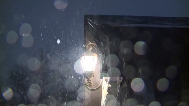 Looking back at one of the deadliest winter storms in Texas history смотреть онлайн
