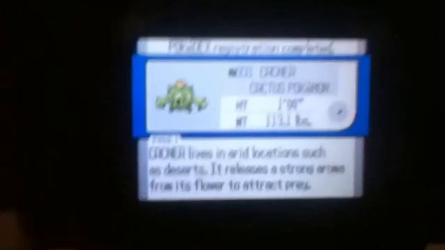 Holy Karp Karp Karp!!! Shiny Cacne xD (*a) "Shiny Cacnea"After 10 RE's U fucking Kidding me xDDDDD смотреть онлайн