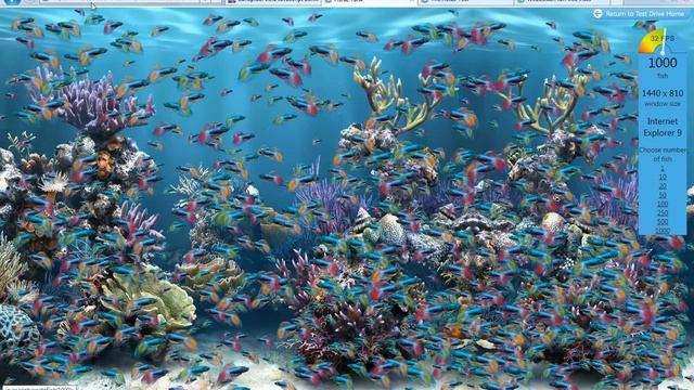 Internet Explorer 9 VS Google Chrome 10, FISH TANK TEST! смотреть онлайн