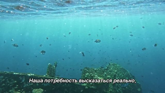 "Делись опытом". 3 ноября. Мужество меняться. Ежедневник для созависимых. смотреть онлайн
