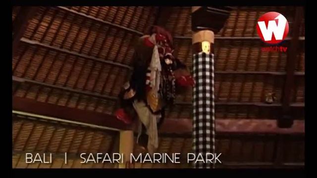 Bali Safari Marine Park | Liburan Bali смотреть онлайн