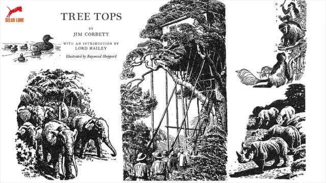Tree Tops By Jim Corbett (Corbett Meets The Queen) W/ An Introduction By Malcolm Hailey | Audiostor