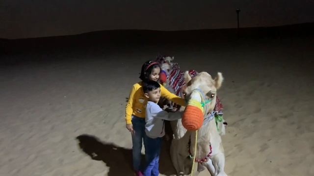 Desert Safari & Belly Dance, Dune Bashing on Land Cruiser in Dubai | #10 смотреть онлайн
